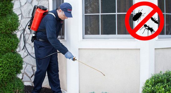 Balışeyh Akrep İlaçlama böcek ilaçlama ve haşere kontrolü — ilaclama-tr.com